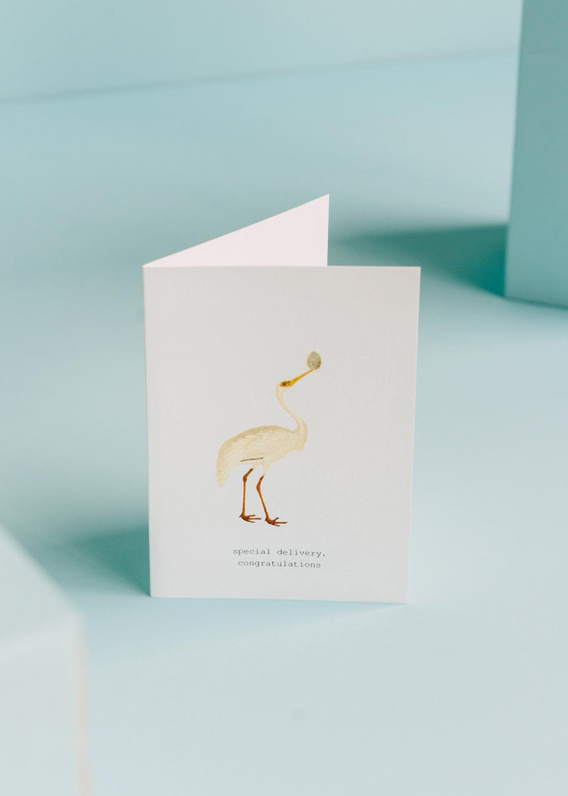 special delivery greeting card || tokyomilk || beautybar